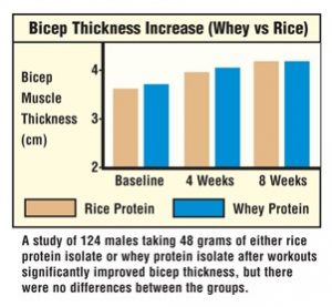 whey vs riz