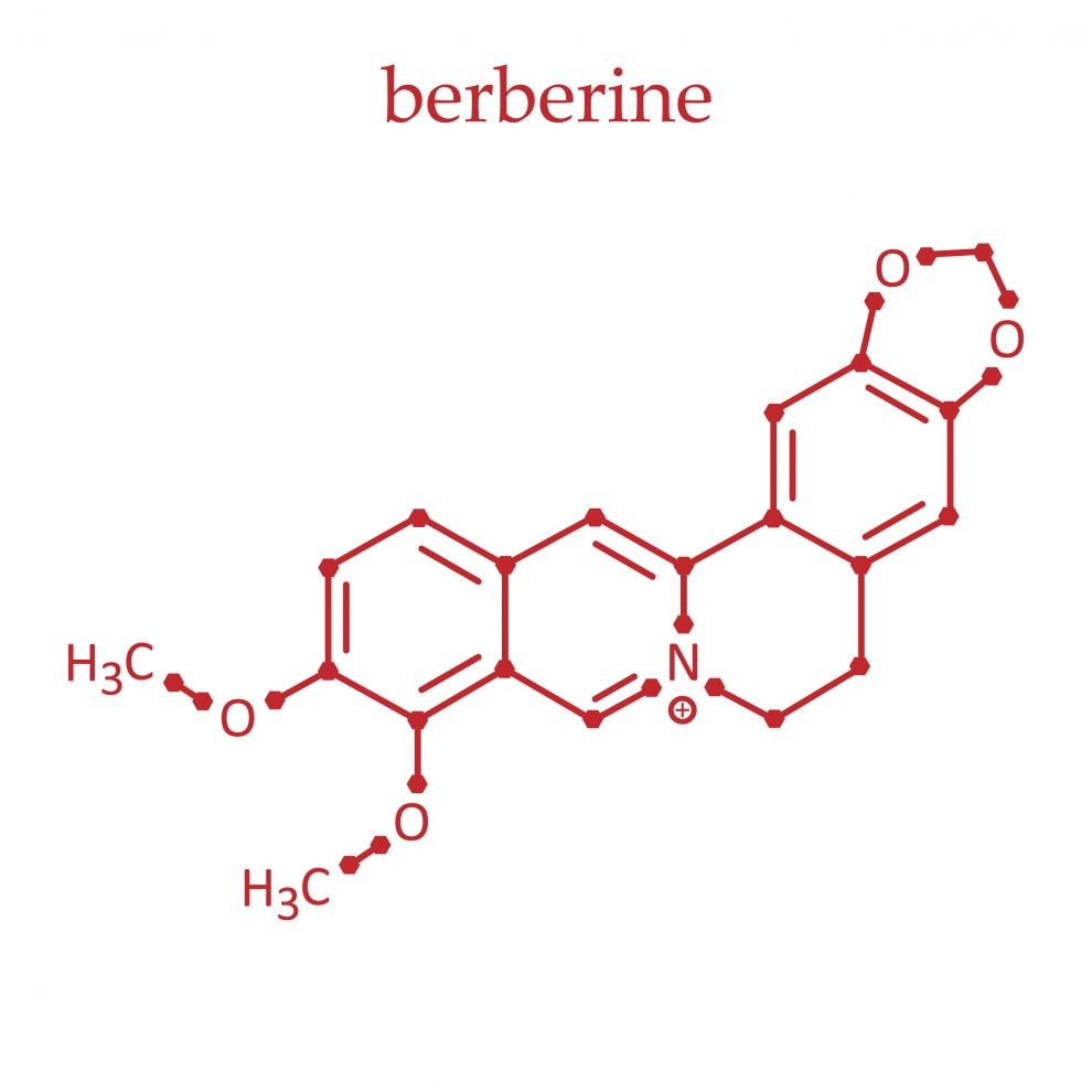 molécule berberine